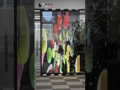 Shenzhen Maxcolor Görsel